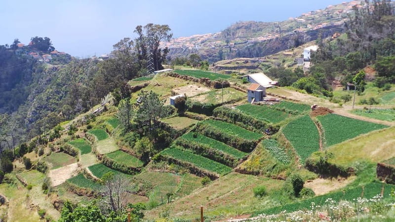 Madeira: Santana Jeep Safari and Balções Levada Walk - Cova da Roda adds a rougher ride