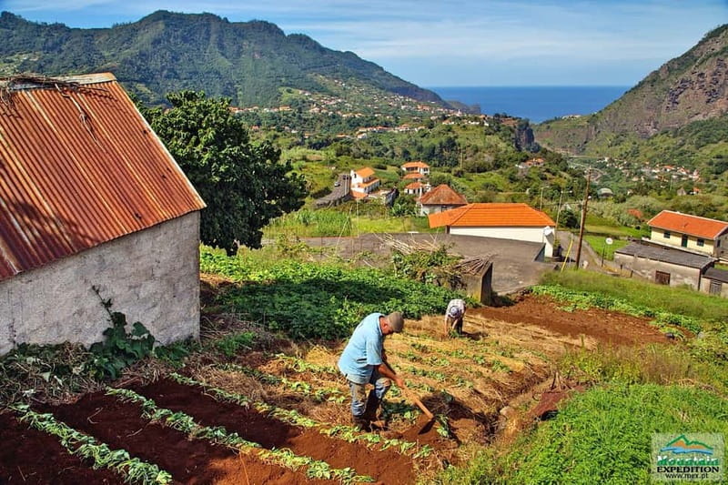 Madeira: Santana Jeep Safari and Balções Levada Walk - Porto da Cruz connects scenery with rum making