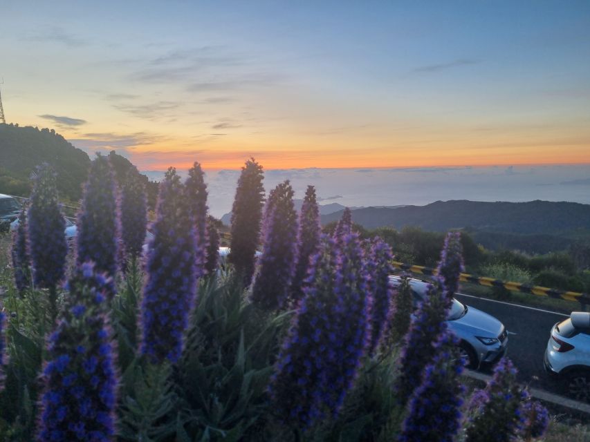 Madeira : Santana, Pico Arieiro, walk full day 4x4 Jeep tour - Pickup, languages, and practical limits