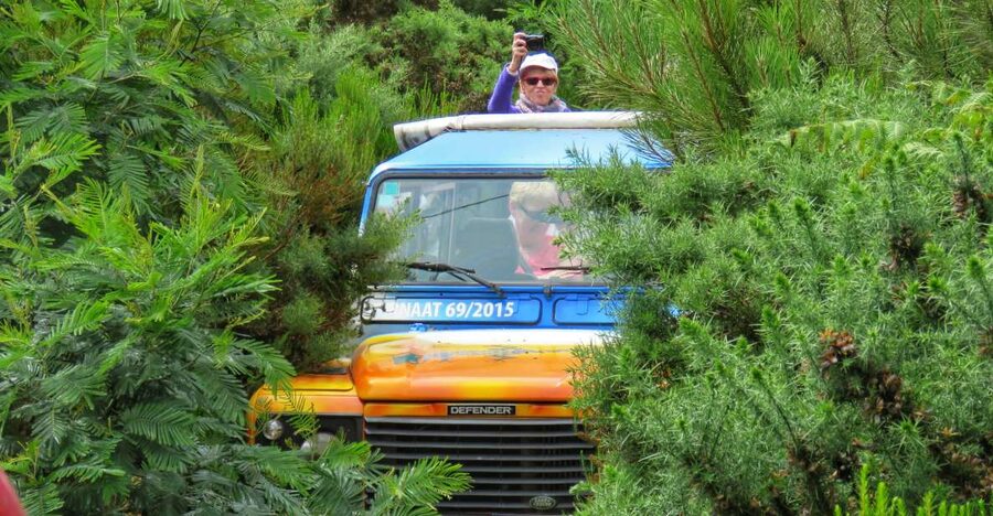 Madeira : Santo de Serra Local Farmers' Market half day trip - Key points to know before booking