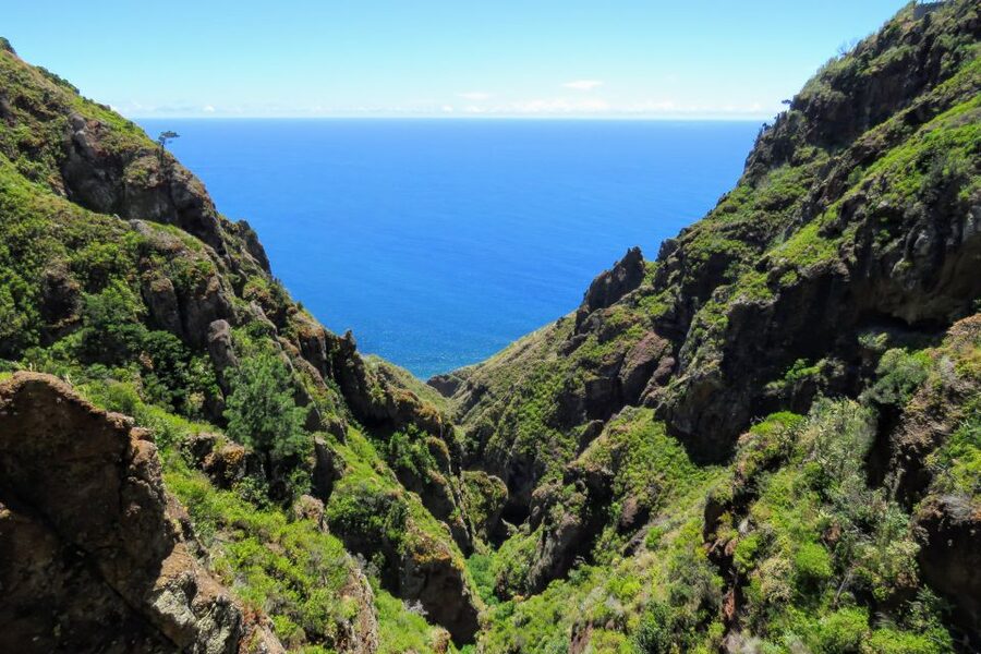 Madeira : Santo de Serra Local Farmers' Market half day trip - How much time do you get at the market?