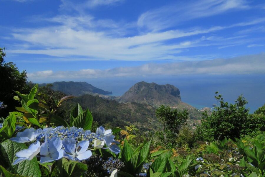 Madeira : Santo de Serra Local Farmers' Market half day trip - Who should book this half-day trip?