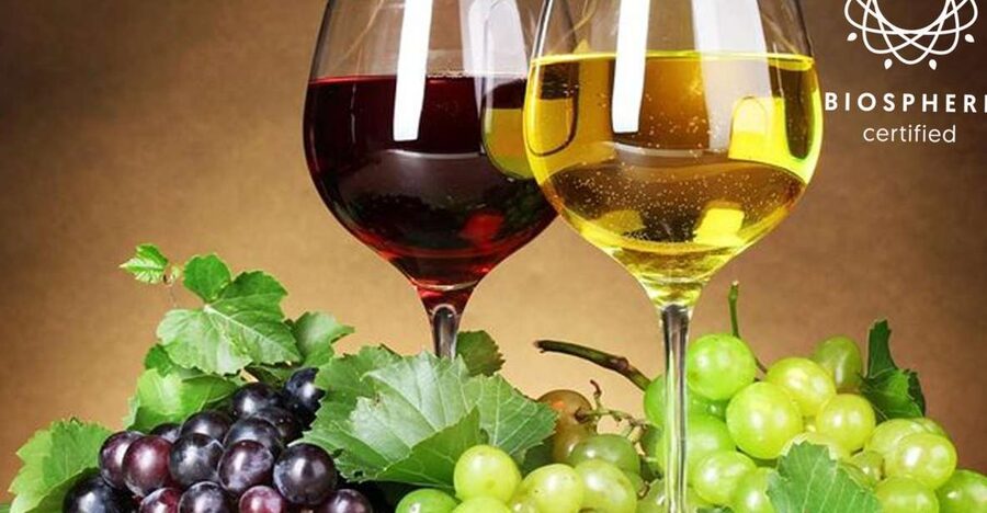 Madeira: Signature Wine Tasting, Skywalk & Nature Expedition - Why this tour works for Madeira