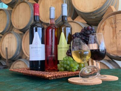 Signature Wine Tasting, Skywalk & Nature Expedition