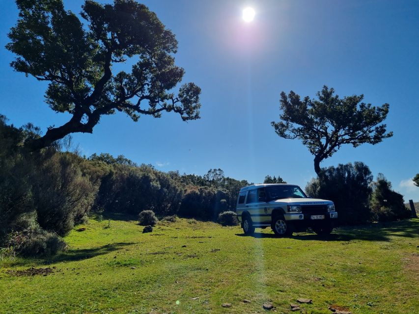 Madeira : SkyWalk, Fanal, Natural Pools 4x4 Jeep Tour - Ribeira da Janela and the road to Porto Moniz