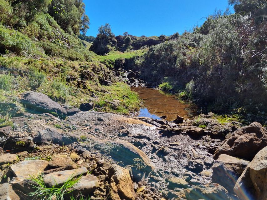Madeira : SkyWalk, Fanal, Natural Pools 4x4 Jeep Tour - Seixal and São Vicente