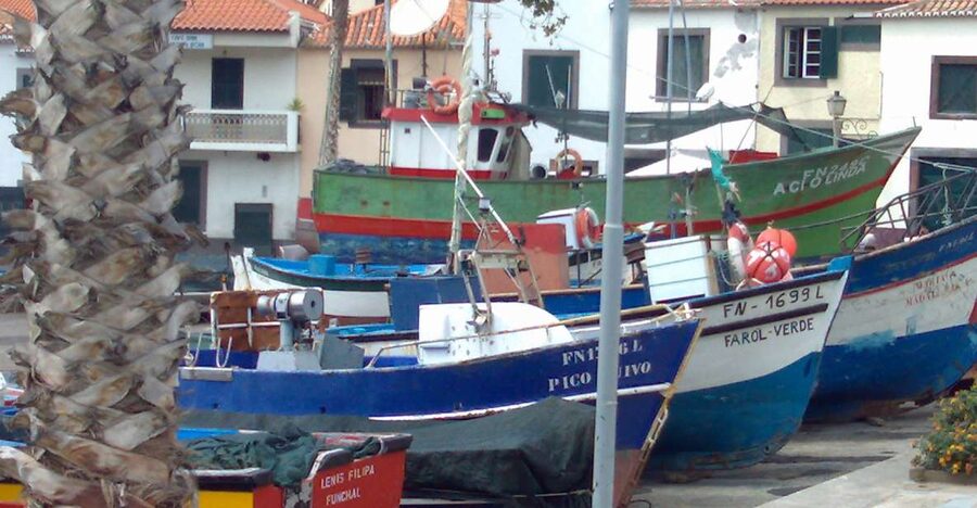 Madeira South West: Half Day Private Tour - Calheta, the final coastal setting