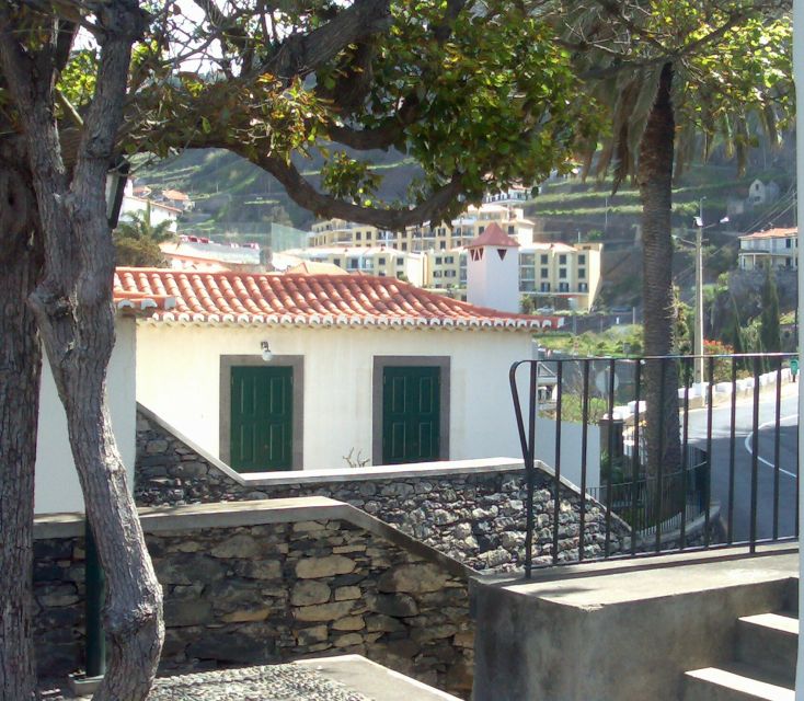 Madeira South West: Half Day Private Tour - Câmara de Lobos, Madeira’s fishing harbor