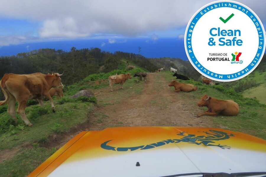 Madeira : Southwest coast, Run & Anjo´s Waterfall 4x4 Tour - Paul do Mar and Jardim do Mar