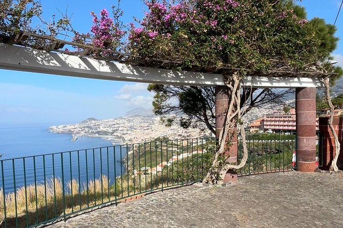 Madeira Special City Tuk Tuk Tour and Viewpoints by MadTuk - What the Guide Adds to the Ride