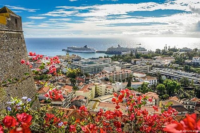 Madeira Special City Tuk Tuk Tour and Viewpoints by MadTuk - Is $66.09 Per Person Good Value?