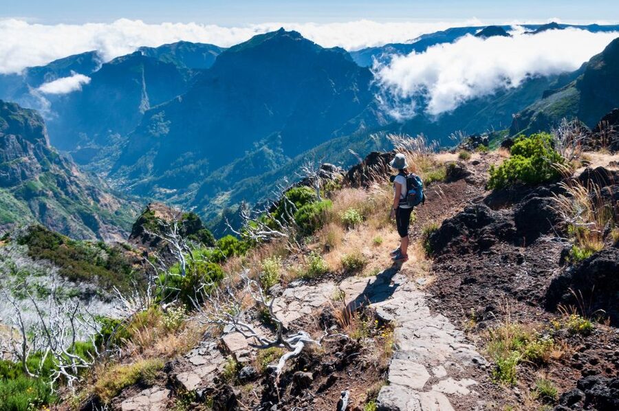 Madeira Stairway to Heaven to Larano Hike Mountain to Sea - What the $88 price covers