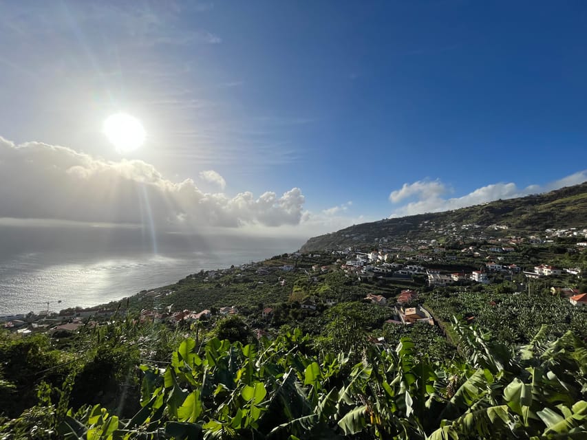 Madeira: Sunny South Side - Cabo Girão, Waterfalls, C. Lobos - Câmara de Lobos and the final poncha