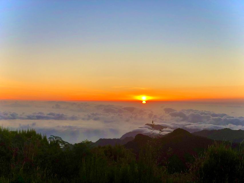 Madeira: Sunrise at Pico do Arieiro & Hike Larano trail - Should you book the Pico do Arieiro and Larano tour?