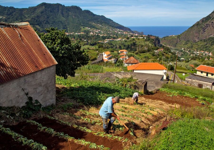 Madeira: The Best of South Jeep Tour - How the $68 price works for you