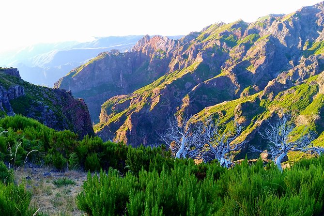 Madeira Top Sunrise - Stars first, sunrise later