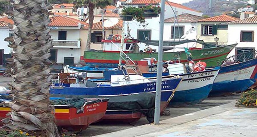 Madeira - Vineyard Tour Wine Tasting - Included - Timing, comfort, and practical limits