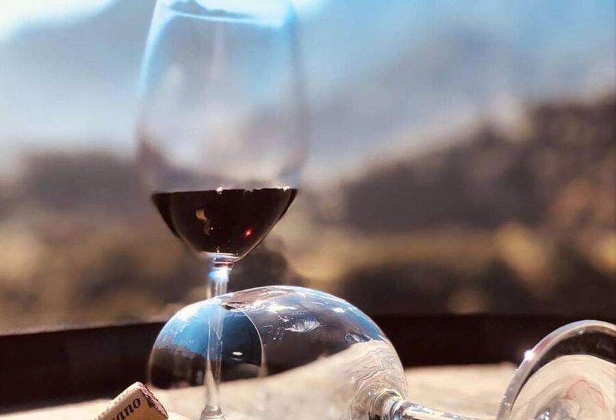 Madeira - Vineyard Tour Wine Tasting - Included - Should you book this Madeira vineyard tour?