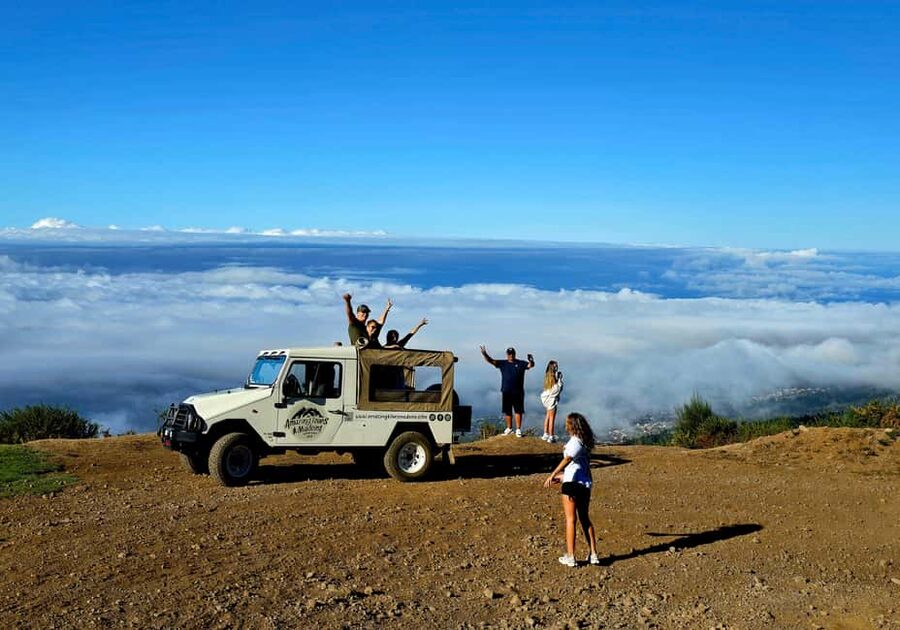 Madeira: Visit the Vulcanic Pools, Waterfalls and the Magic Forest of Fanal - What makes this west-coast tour worth considering