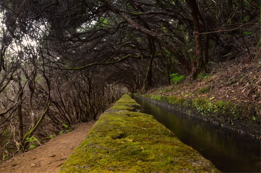 Madeira Walks - Rabaçal and the 25 Fountains - Why the Rabaçal walk is worth your day