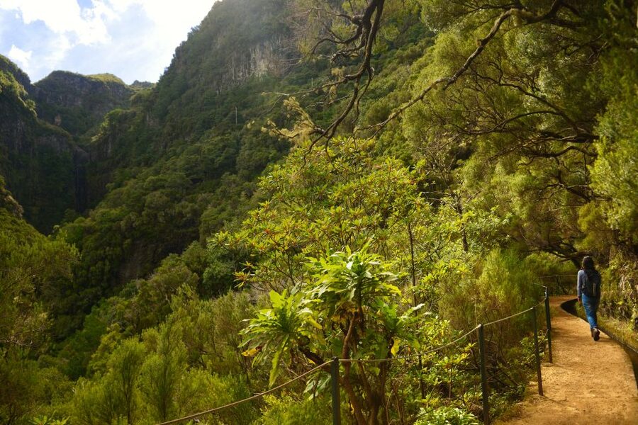 Madeira Walks - Rabaçal and the 25 Fountains - Four hours beside levadas, springs, and waterfalls