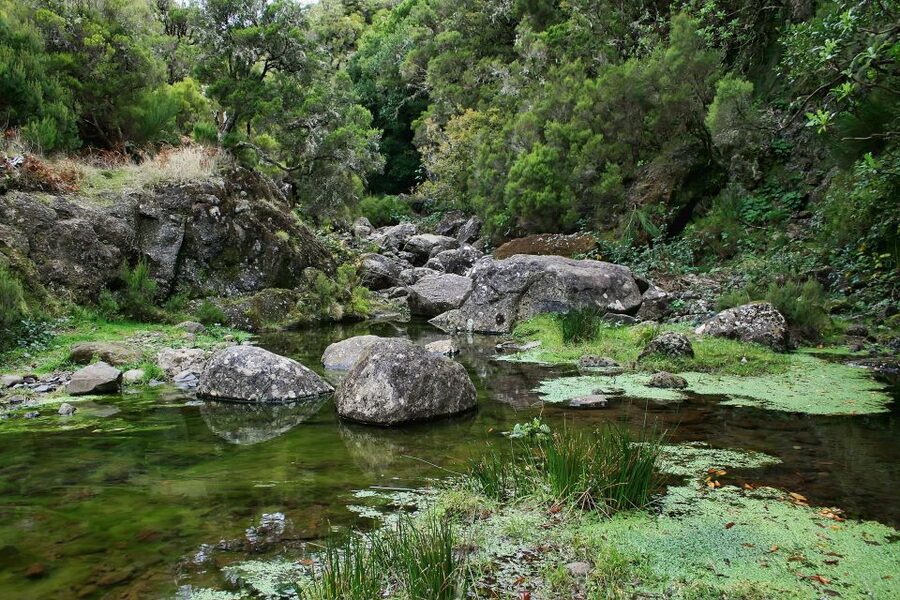 Madeira Walks - Rabaçal and the 25 Fountains - The 25 Fountains and the crowded main stop