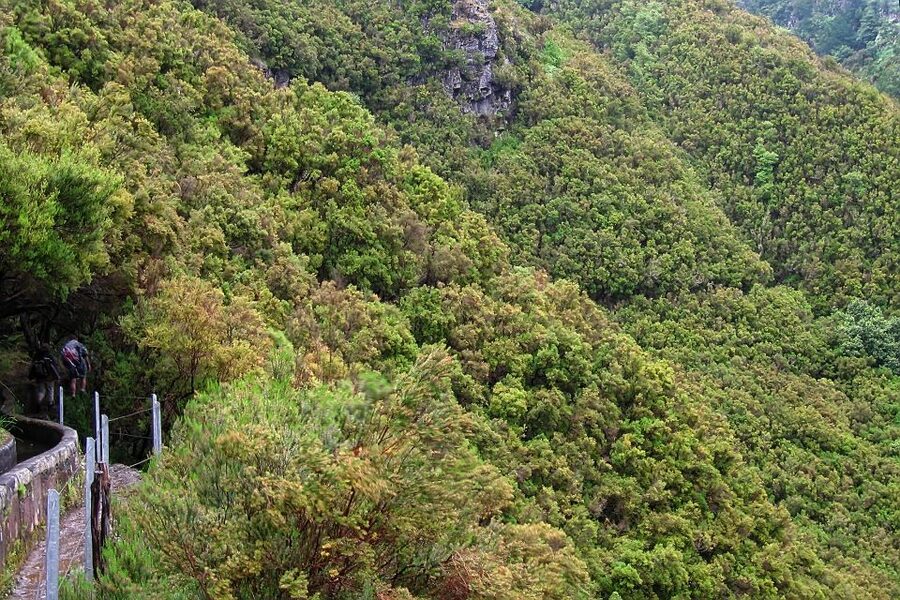 Madeira Walks - Rabaçal and the 25 Fountains - Guides make the difference on a group walk