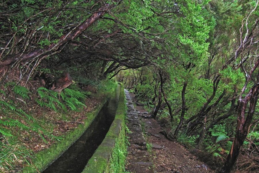 Madeira Walks - Rabaçal and the 25 Fountains - Is $50 good value?