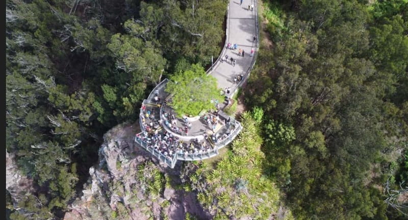 Madeira: West and East Madeira Top Highlights Tour - The guides shape the day