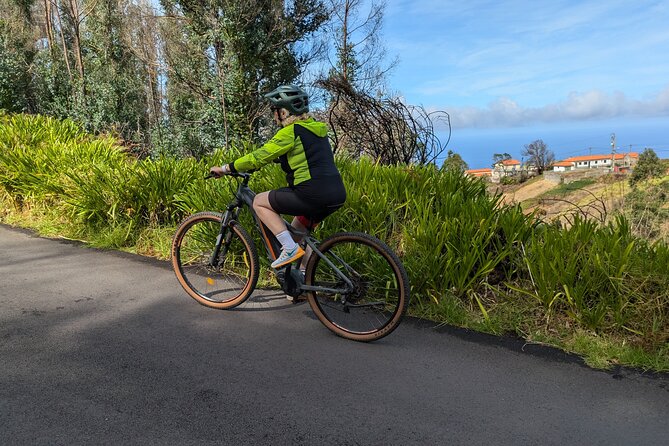 Madeira West Coast E-Bike Tour - Ponta do Pargo, village gardens, and the Funda Gorge