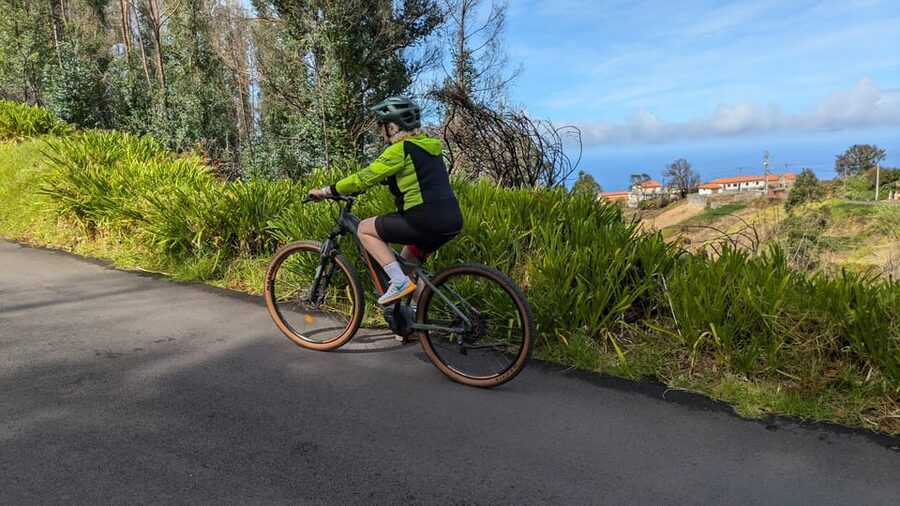 Madeira West coast: Guided Sightseeing E-Bike Tour - Farmhouses, fields, and local water systems