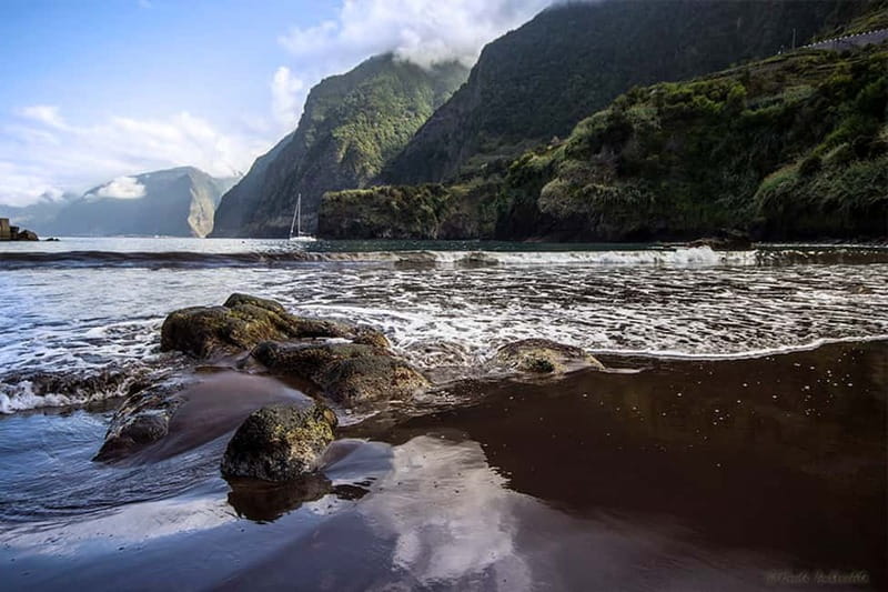 Madeira West Island Full-Day Tour with Fanal Forest - Why this west-coast route works so well
