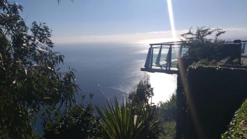 Madeira West Island Full-Day Tour with Fanal Forest - Fanal Forest is the quietest stop