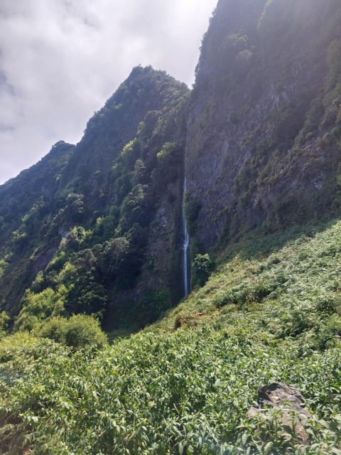 Madeira West Safari - The natural lava pools of Porto Moniz - Who should book this Jeep safari