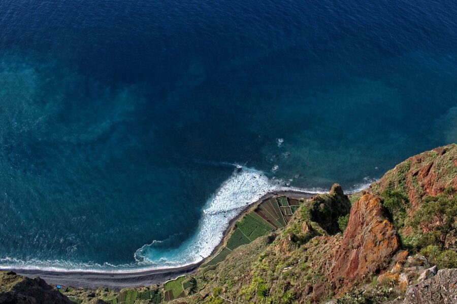 Madeira: Western Madeira Guided Trip & Fanal Mystic Forest - Fanal Forest, where the day turns quiet and strange