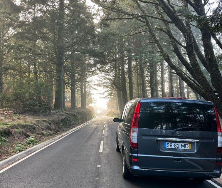 Madeira: Western Madeira Guided Trip & Fanal Mystic Forest - Ribeira da Janela and the north coast
