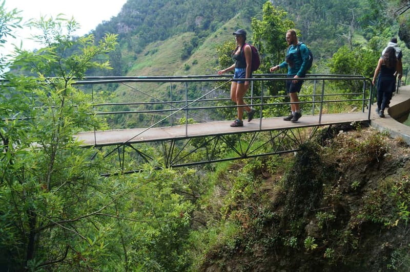 Madeira: Wet your hair in the amazing Levada Nova / Moinhos - Key points at a glance