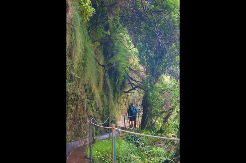 Madeira: Wet your hair in the amazing Levada Nova / Moinhos - The waterfall and the less polished sections