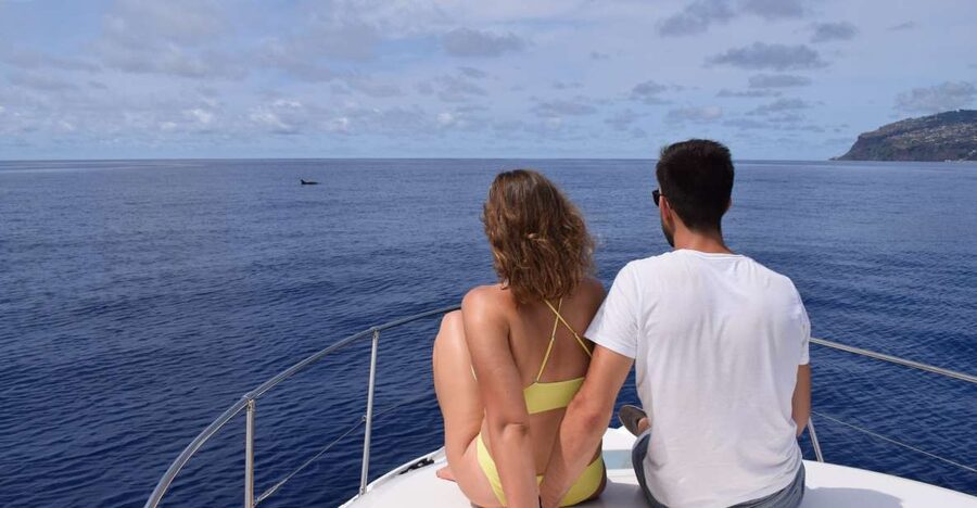 Madeira: Whale and Dolphin Watching Private Cruise - Choosing between the Miranda and Gringo yachts