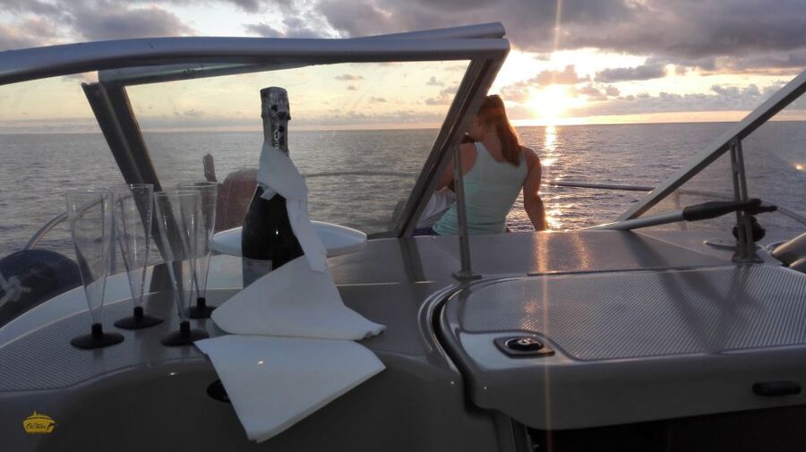 Madeira: Whale and Dolphin Watching Private Cruise - A comfortable boat makes the search easier