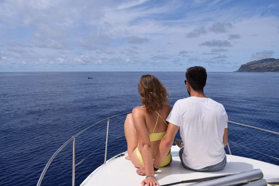 Madeira: Whale and Dolphin Watching Private Cruise - Swimming and snorkeling off the yacht