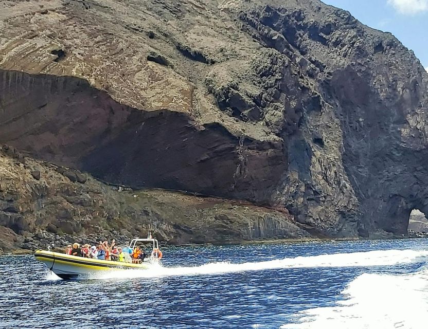 Madeira: Whale and Dolphin Watching Tour - What the marine biologist guide adds