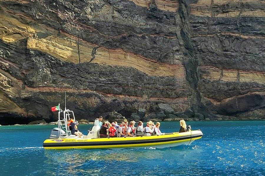 Madeira: Whale and Dolphin Watching Tour - The speedboat question: excitement versus quiet observation