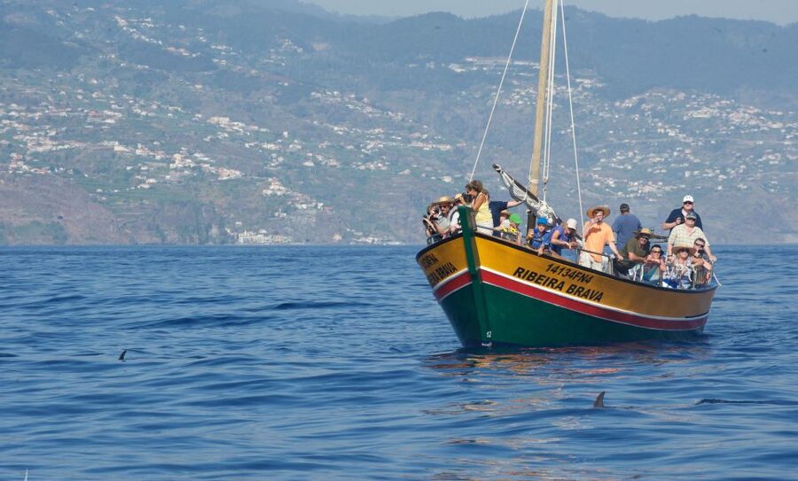 Madeira: Whale Watching Excursion in a Traditional Vessel - What the two-and-a-half-hour schedule feels like