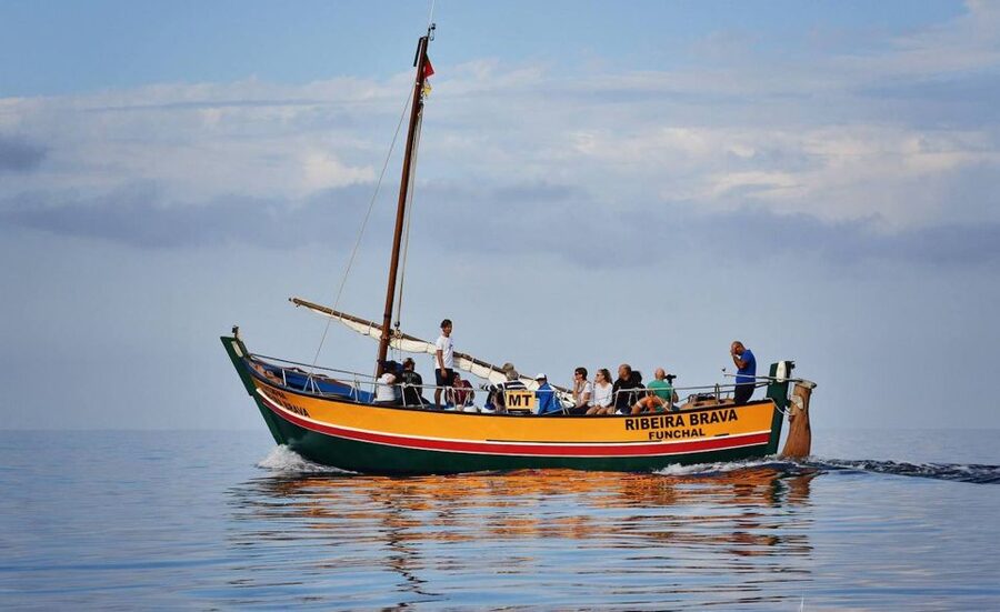 Madeira: Whale Watching Excursion in a Traditional Vessel - Who will enjoy this boat trip most