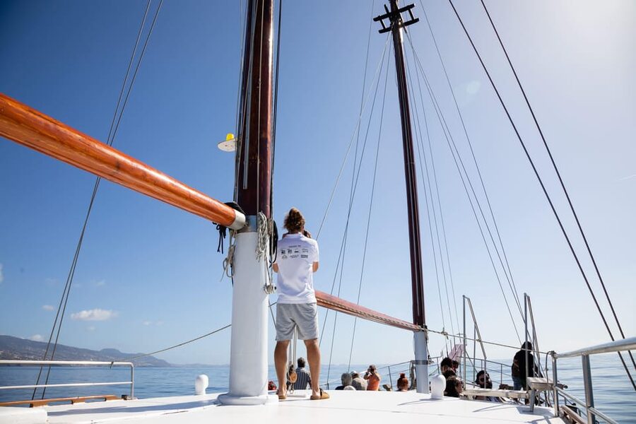 Madeira : Whales and Dolphins wooden boat excursion - The crew makes a real difference