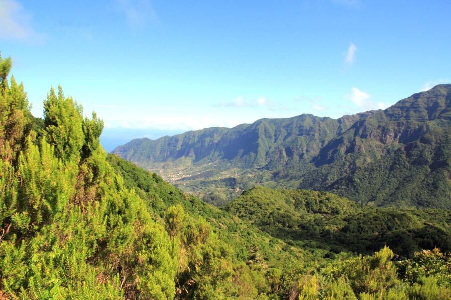 Madeira: Wine Safari Jeep Tour with Local Guide - Why this four-hour outing works