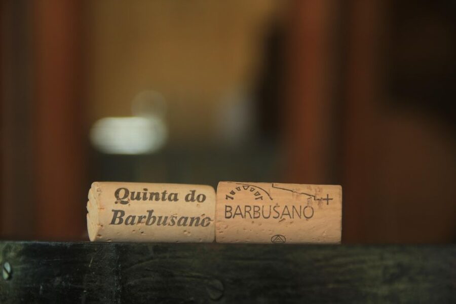Madeira: Wine & Tapas, Cabo Girão Skywalk 4x4 Jeep Adventure - Practical tips for a smoother ride