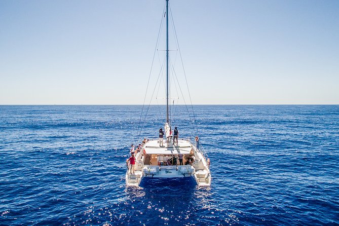 Magic Dolphin Celebrity - Key points to know before booking