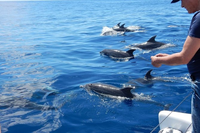 Magic Dolphin Celebrity - Why the smaller catamaran matters